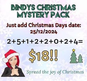 Bindy's Christmas Mystery Pack